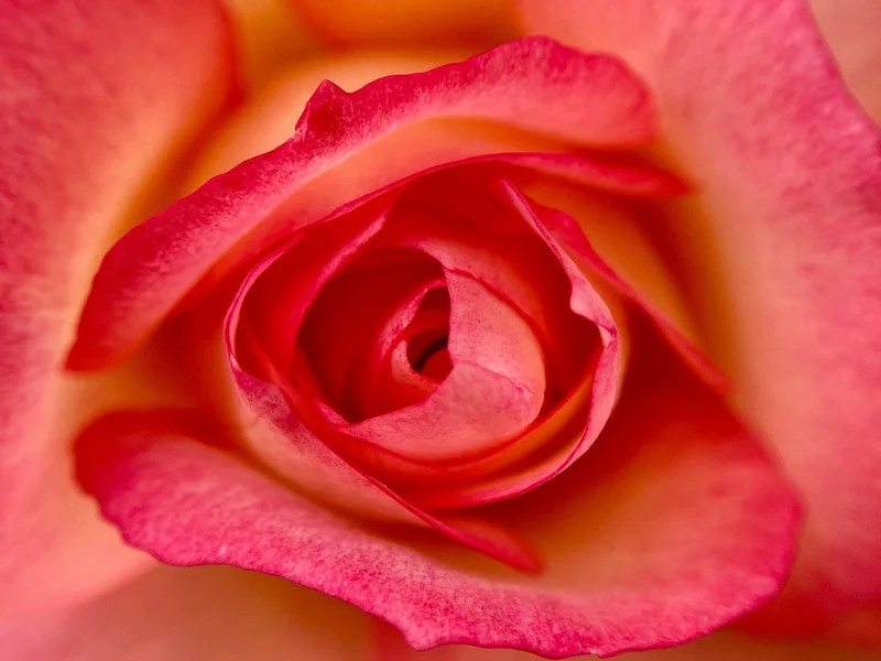 伟德体育PG电子平台